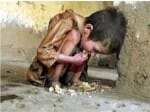 Malnutrition has increased less space