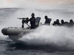 international fleet review 2016