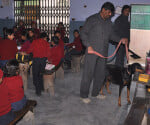 threat of bomb blast in two more schools