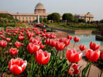 comme and see the beauty of the Mughal Gardens