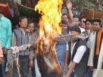 Rahul Gandhi's effigy