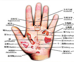 health mysteries palm lines