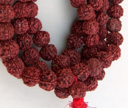 how to choose good rudraksha