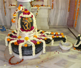 why devotee worship shivling 