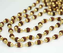 rudraksha for student 