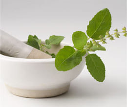 boost memory power eat tulsi leaf