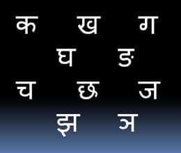 320 languages will die in 50 years, says report