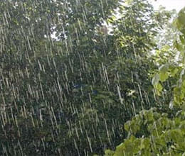 deteriorated situation from rain at various places in mp