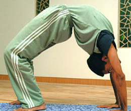 chakarasan will make your body Curvy