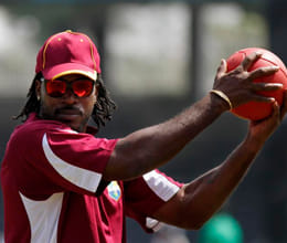 james faulkner fined for chris gayle clash