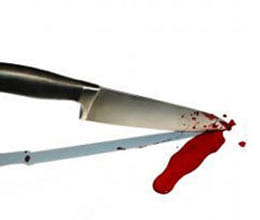 software engineer killed his wife by knife