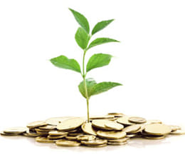 corruption in case of plantation work 