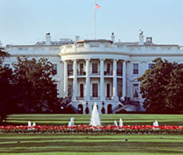 white house floor amroha carpet