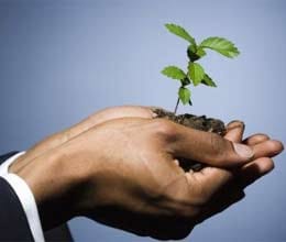 guidelines soon on traditional life insurance