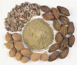 without prescription triphala intake can be harmful