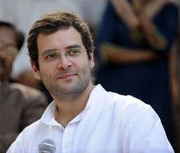 no plan to marry says rahul gandhi