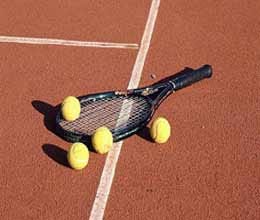 finals between petrova rdwanska