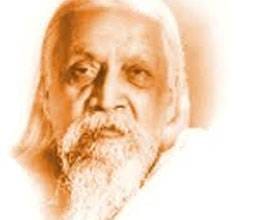 brief story on sri arvind ghosh 