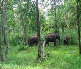  no fun would be in wildlife parks 