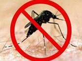 Dengue patients and found four