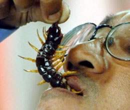 eat cockroach and lost life!