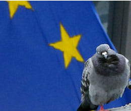 Nobel Peace Prize awarded to European Union