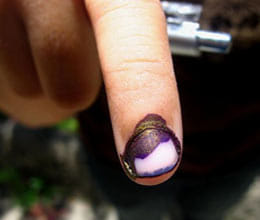 voting ink how to make nobody knows