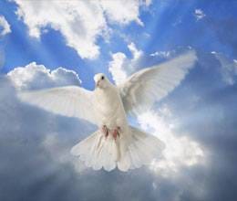 repentance frees you from bad karma 
