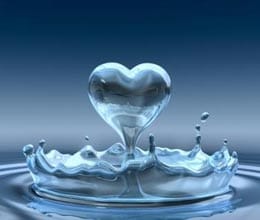 water doctor daily dose of water reduce water diseases