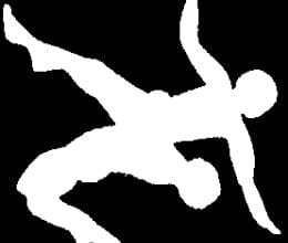 russia and usa will not delist wrestling from olympic says raj singh