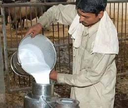 Rise in milk rates worries homemades
