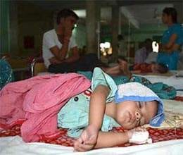 cabinet to consider rs 4000 crore plan for tackling japanese encephalitis