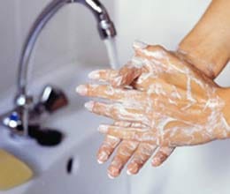 handwash british people tell lie in this matter