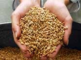 Give details of the property, no gain or grain