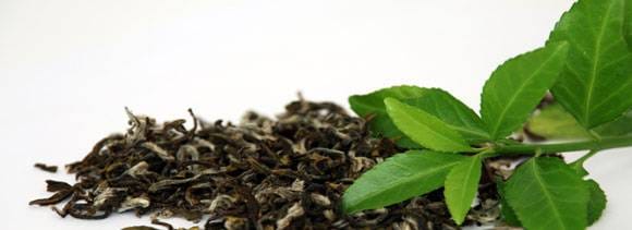 tulsi can cure several diseases