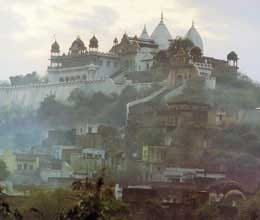 police and pandas fought in vindhyachal temple 