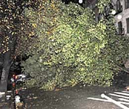 sandy storm reached us with panic