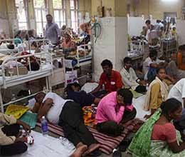 department will organise joint operations to fight dengue