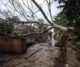 sandy leaves 40 dead india worried
