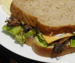 cockroach in your food