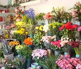 four hundred crore have surpassed level of exports of flowers