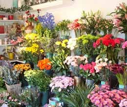 four hundred crore have surpassed level of exports of flowers