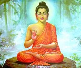 bodhi tree where mahatmah buddha got knowledge 