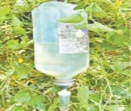 scientists discovered new technique of irrigation through glucose bottle 