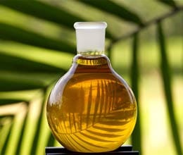 demand of duty on imports of palm oil