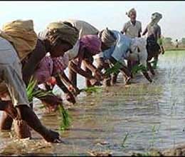 monsoon moving rapidly ahead of schedule