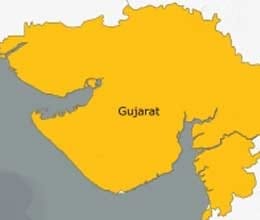 gujarat elections half candidates matriculate