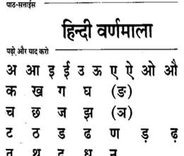Appeals court will deliver the judgment in Hindi