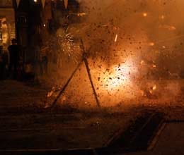 sound of firecrackers harm birds