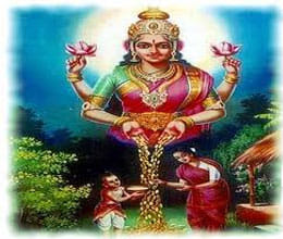 dhan laxmi mata 